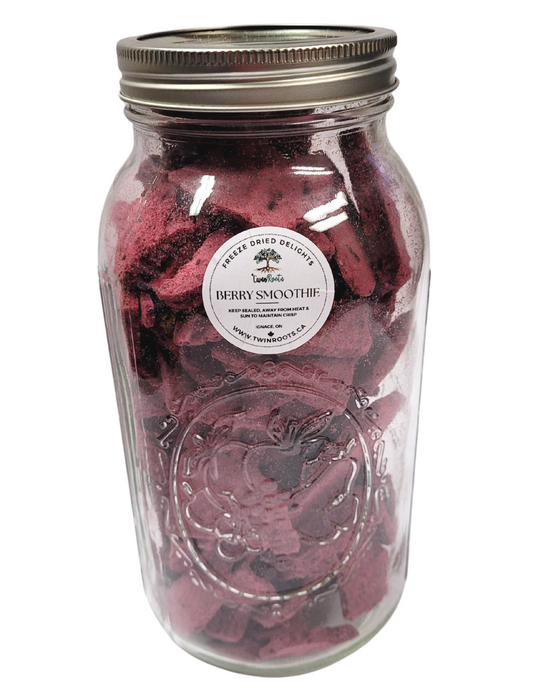 Berry Smoothie Bites