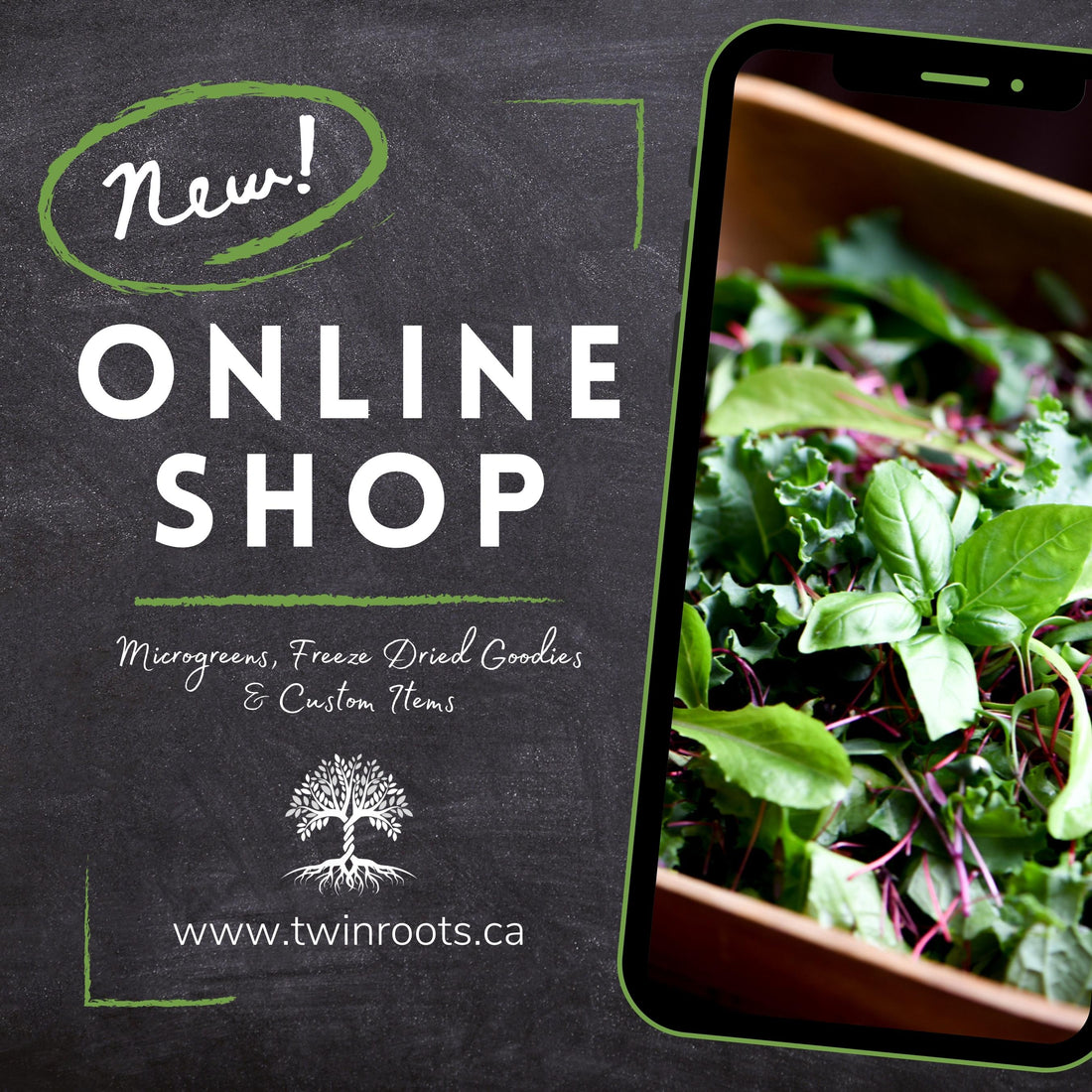 Online Shop is now Live
