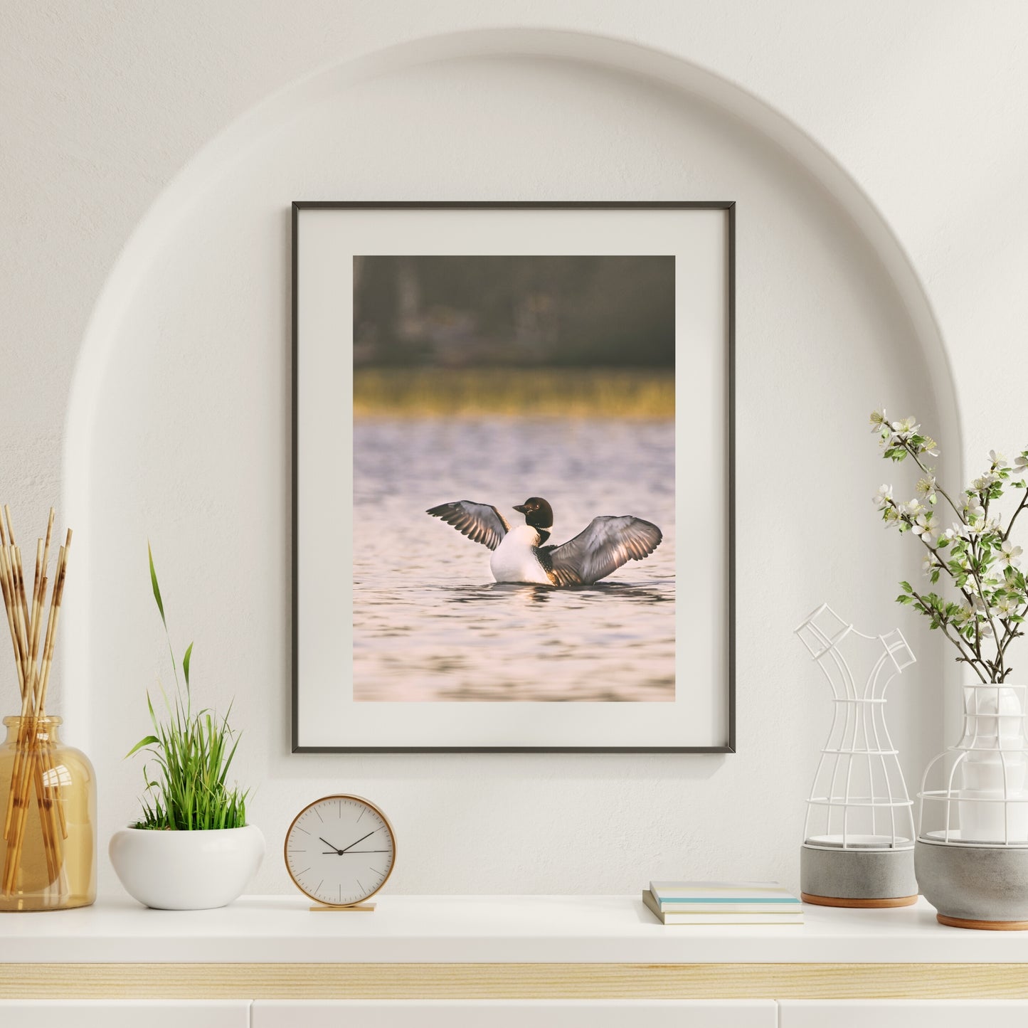 Canadian Loon Framed Print